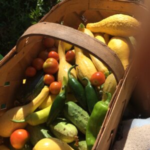 Squash